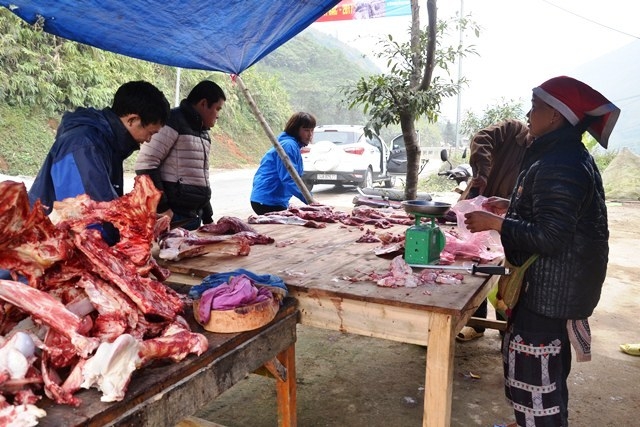 Rét hại kéo dài làm chết gần 70 con trâu ở Sa Pa