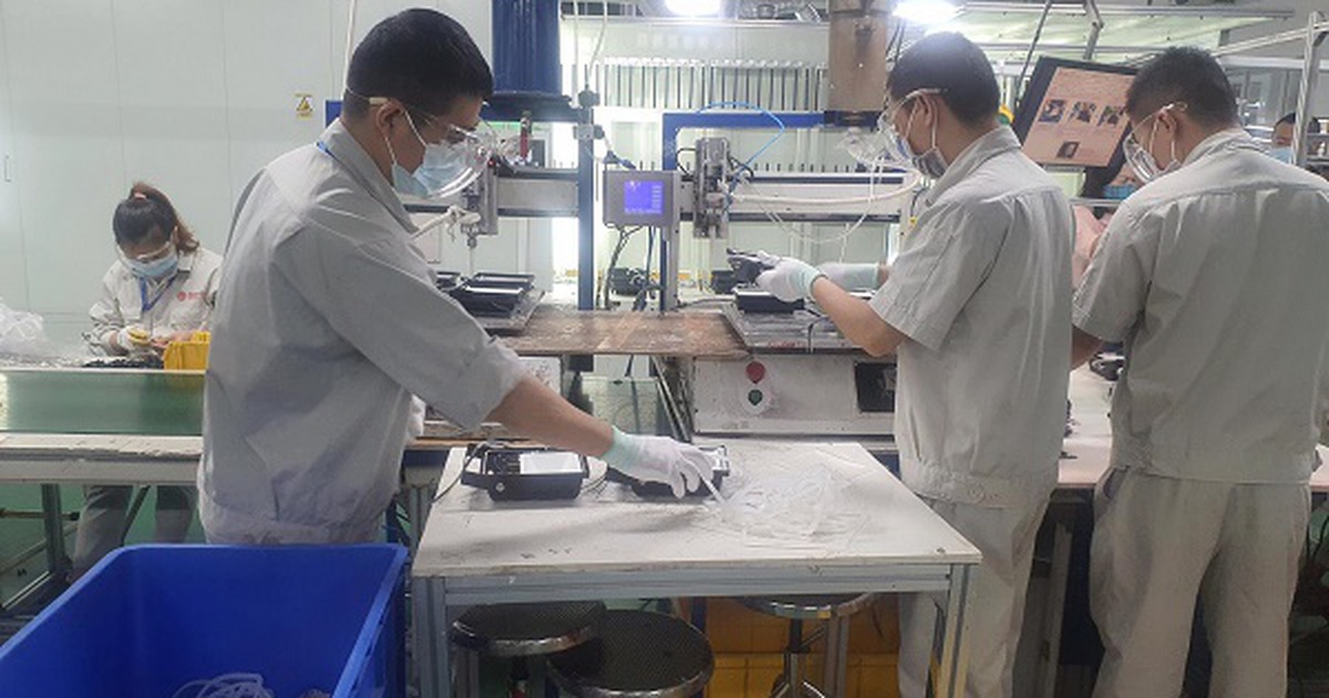 Hỗ trợ thị trường lao động phục hồi sau dịch COVID-19